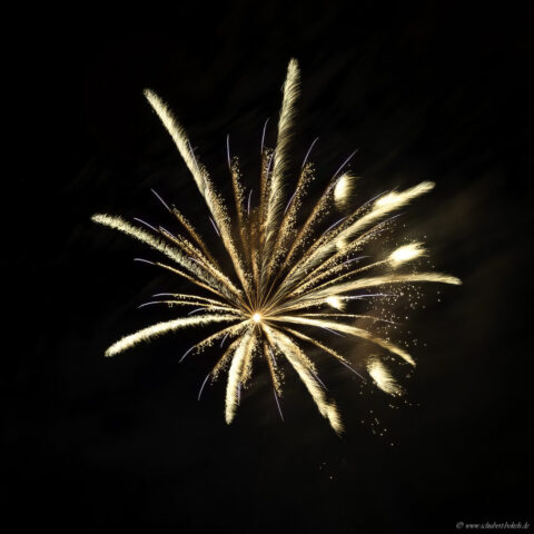 Feuerwerk gold